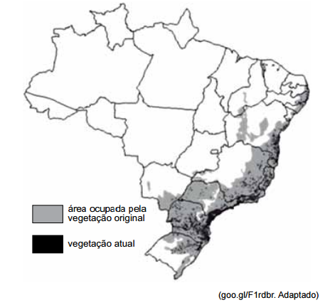 Questões de concursos Polícia Militar do Estado de São Paulo (PM SP) questões de concursos Polícia Militar do Estado de São Paulo (PM SP) 2017