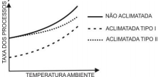 Questão Q71416 de Biologia alternativa b