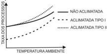 Questão Q71416 de Biologia alternativa c