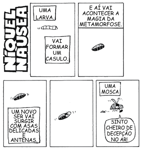 questões de concursos Câmara Municipaal de Bragança Paulista (SP) 2020 