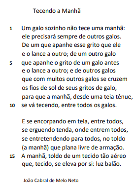 questões de concursos Prefeitura de Vila Velha (ES) 2020 