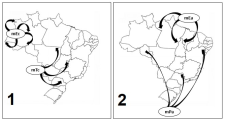 Questão Q86940 de Geografia alternativa b