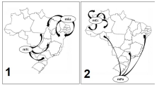 Questão Q86940 de Geografia alternativa c
