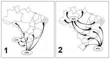 Questão Q86940 de Geografia alternativa e