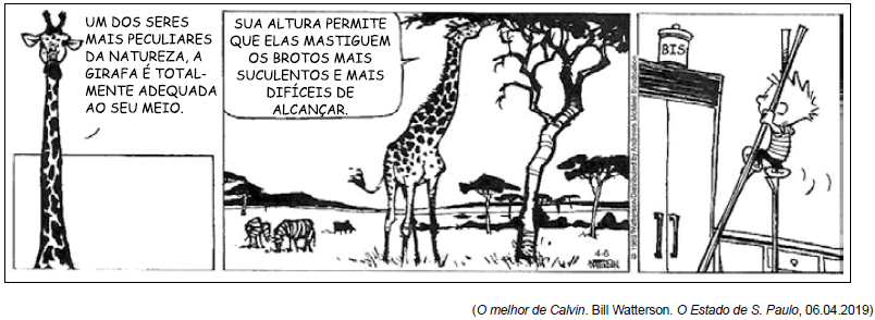 questões de concursos Câmara Municipal de Piracicaba (SP) 2019 