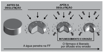 questões de concursos Prefeitura de Campinas (SP) questões de concursos Prefeitura de Campinas (SP) 2019