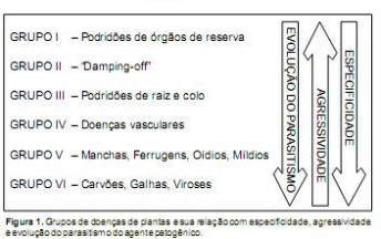 questões de concursos Ministério Público do Estado do Espírito Santo (MPE ES) 2013 