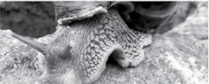 questões de concursos Universidade Estadual Paulista (UNESP) 2015 