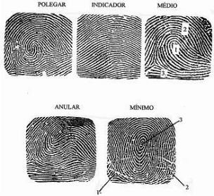 questões de concursos Secretaria de Estado de Ciência e Tecnologia de Goiás (Sectec) 2010 