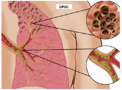 questões de concursos Universidade Federal de Alagoas (UFAL) 2018 