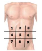 questões de concursos Tribunal de Justiça do Estado de Santa Catarina (TJ SC) 2018 