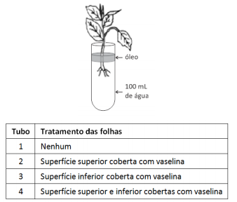questões de concursos Secretaria de Educação do Estado de Pernambuco (SEE PE) questões de concursos Secretaria de Educação do Estado de Pernambuco (SEE PE) 2016