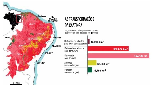 questões de concursos Polícia Militar do Estado de São Paulo (PMSP) questões de concursos Polícia Militar do Estado de São Paulo (PMSP) de Geografia 2025