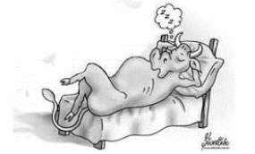 questões de concursos - Polícia Militar do Estado de Santa Catarina (PM SC) - 2015